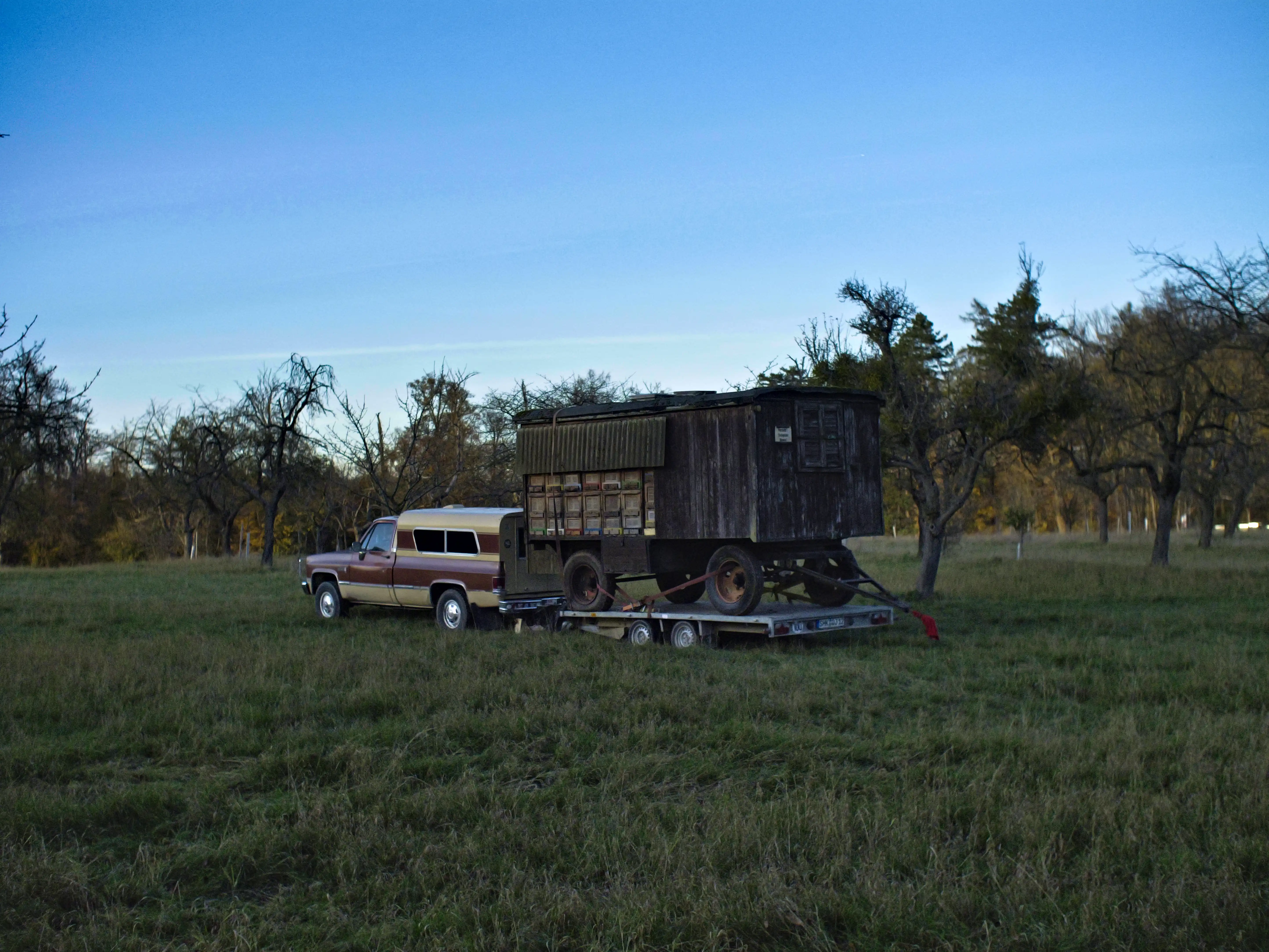 A really old trailer for bees town by an old american Car in the middle of a field  